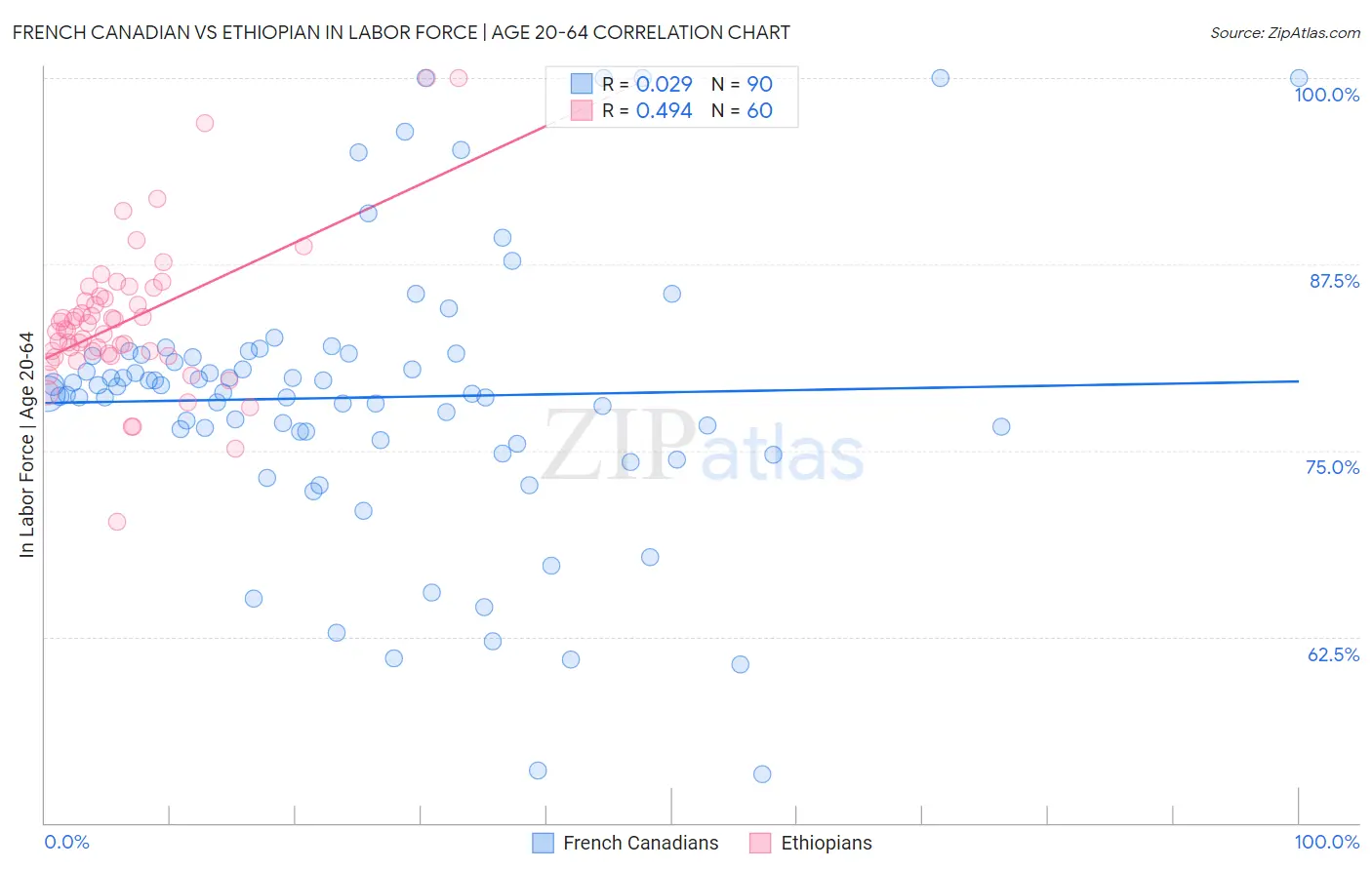 French Canadian vs Ethiopian In Labor Force | Age 20-64