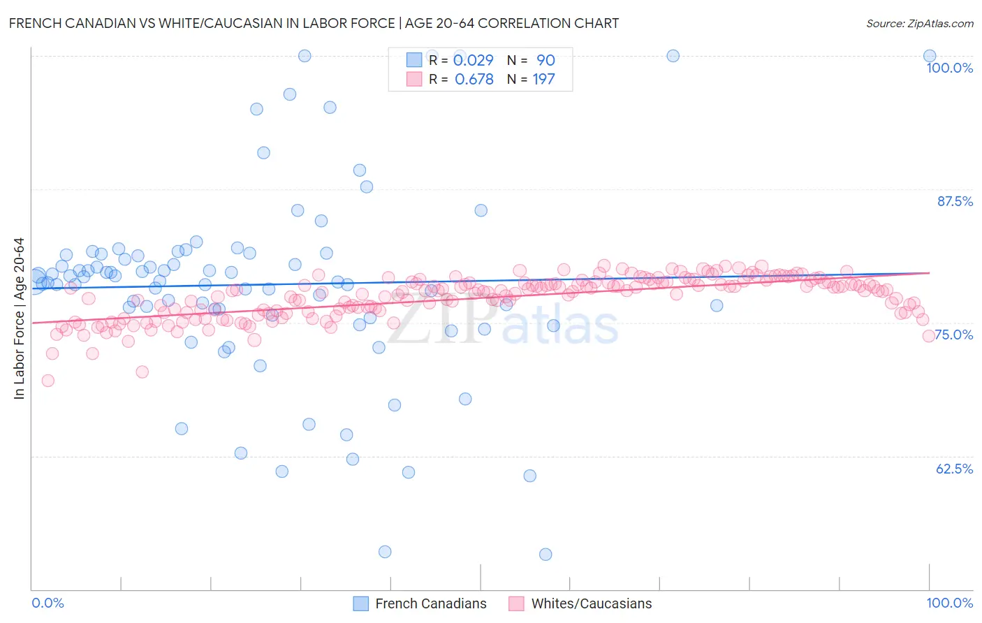 French Canadian vs White/Caucasian In Labor Force | Age 20-64