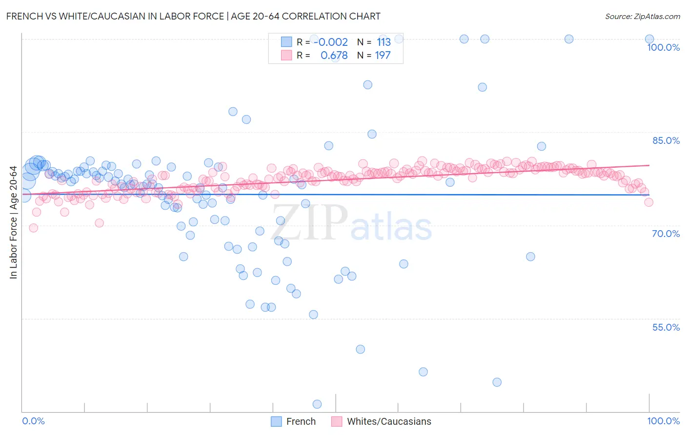 French vs White/Caucasian In Labor Force | Age 20-64