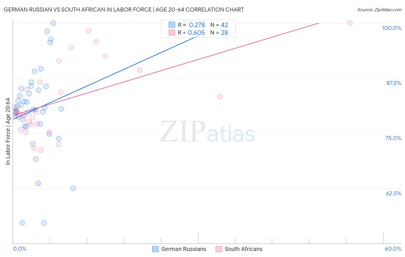 German Russian vs South African In Labor Force | Age 20-64