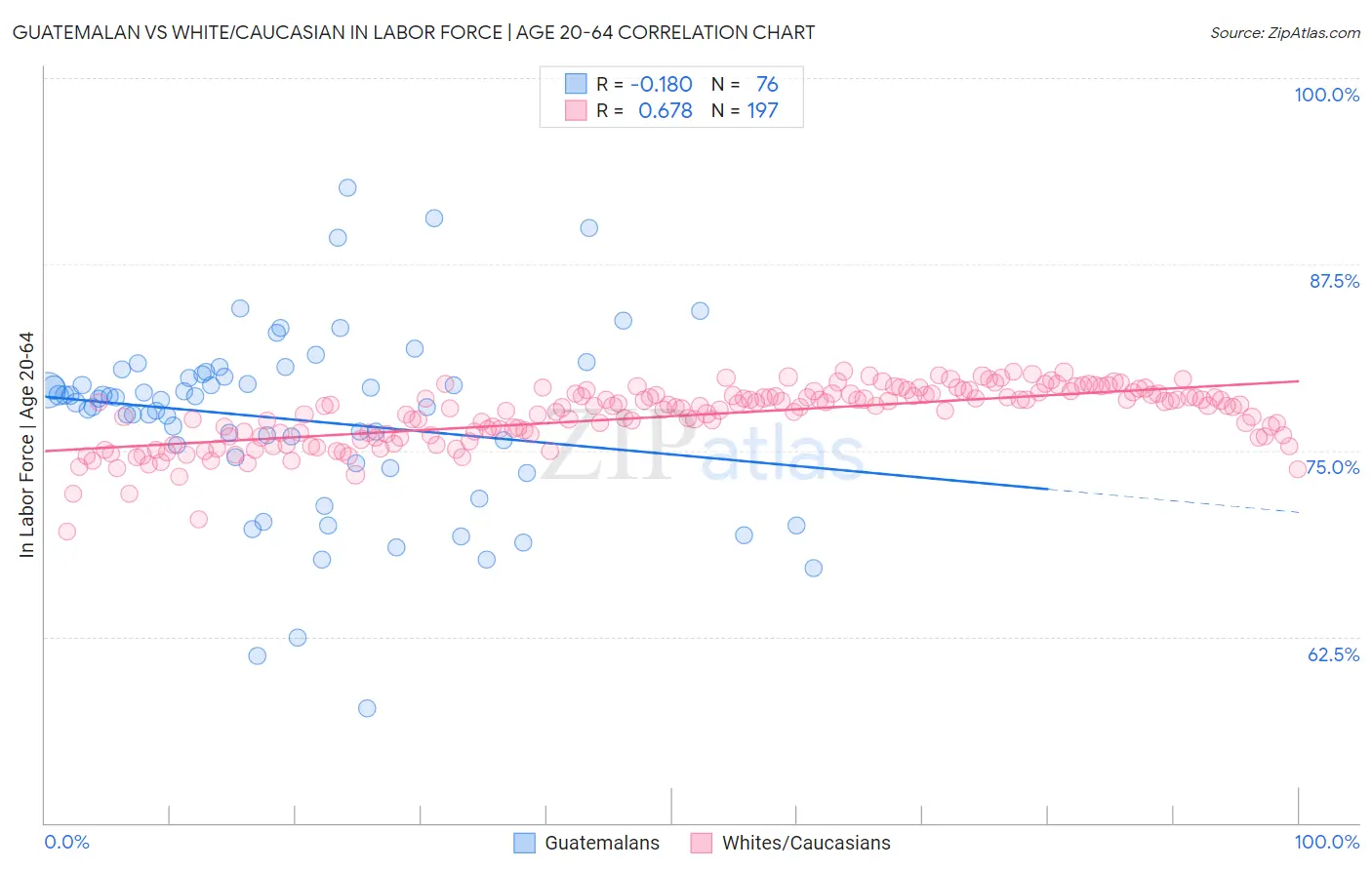 Guatemalan vs White/Caucasian In Labor Force | Age 20-64