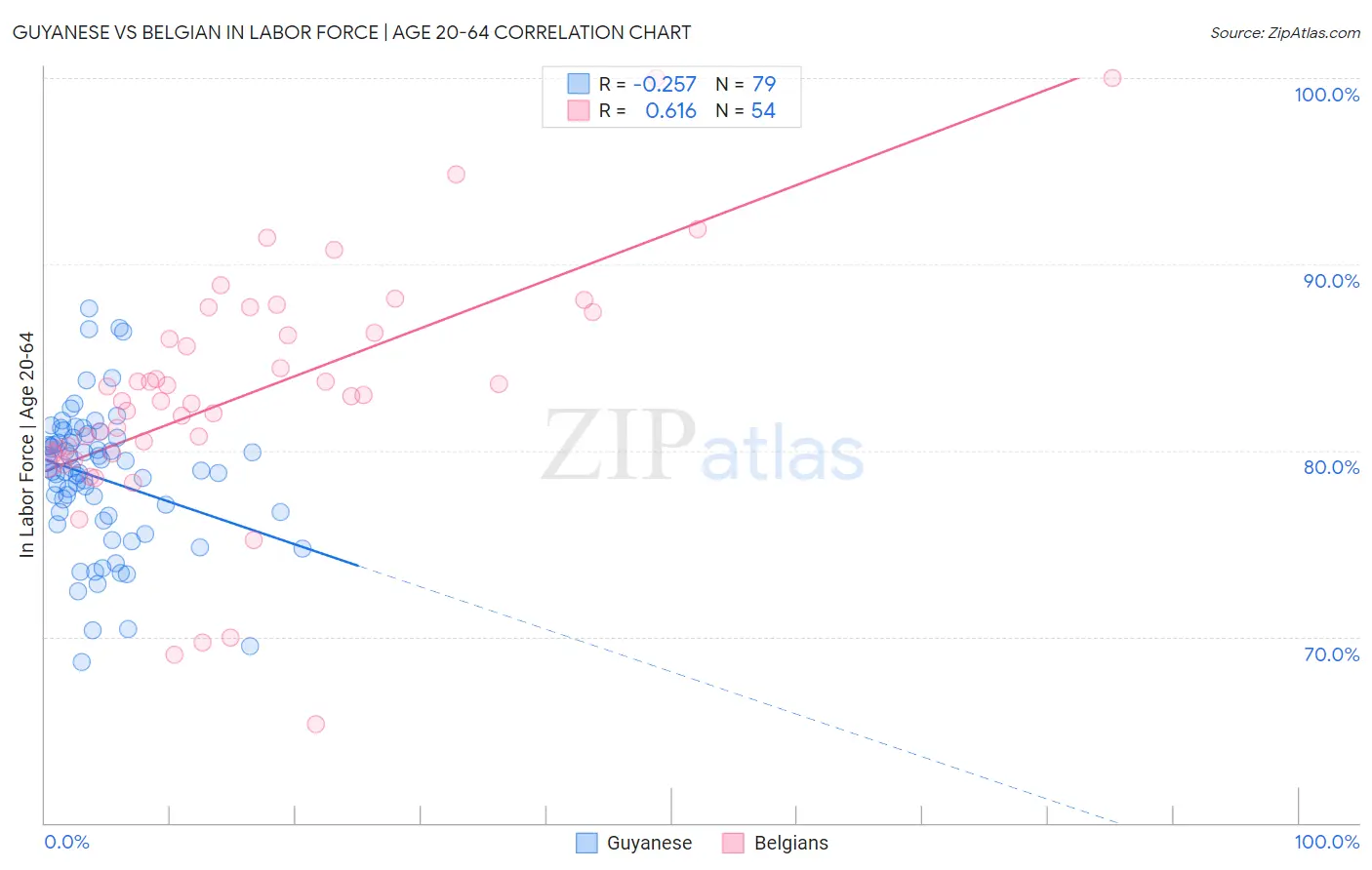 Guyanese vs Belgian In Labor Force | Age 20-64