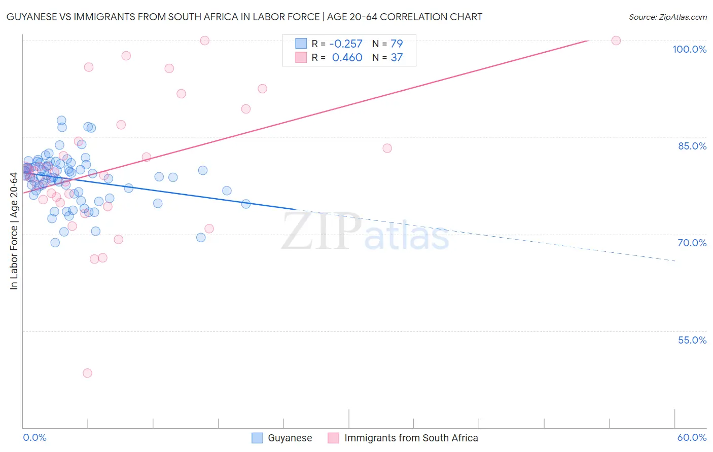 Guyanese vs Immigrants from South Africa In Labor Force | Age 20-64