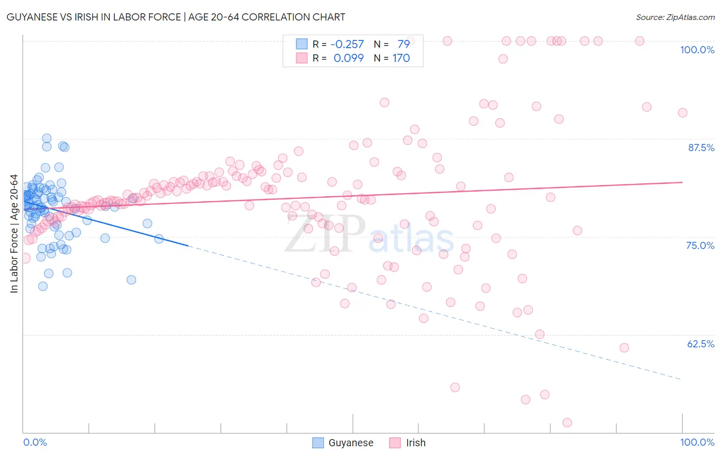 Guyanese vs Irish In Labor Force | Age 20-64