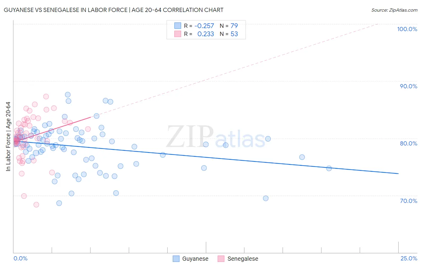 Guyanese vs Senegalese In Labor Force | Age 20-64