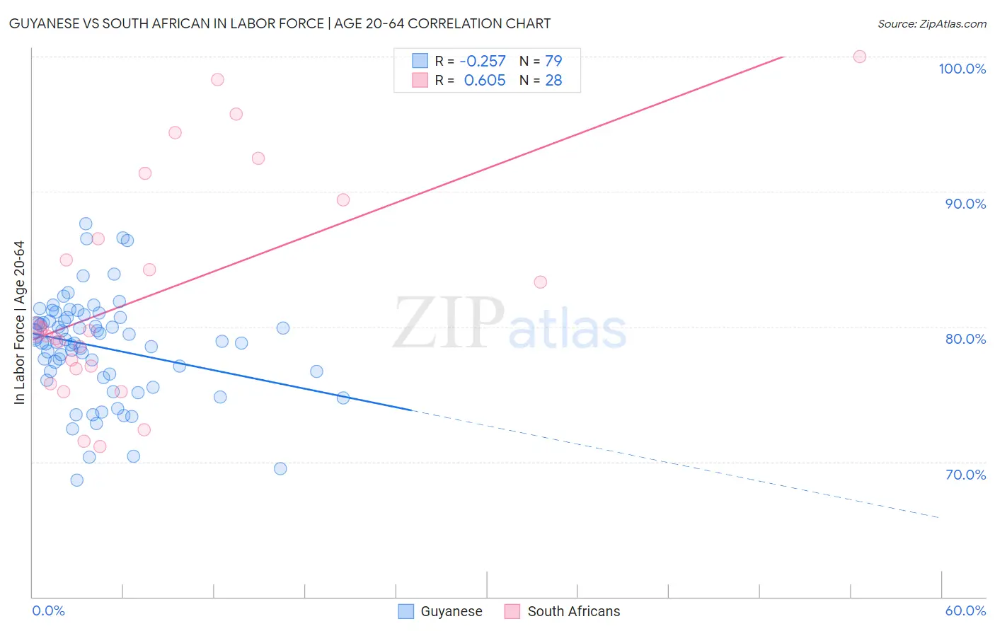 Guyanese vs South African In Labor Force | Age 20-64