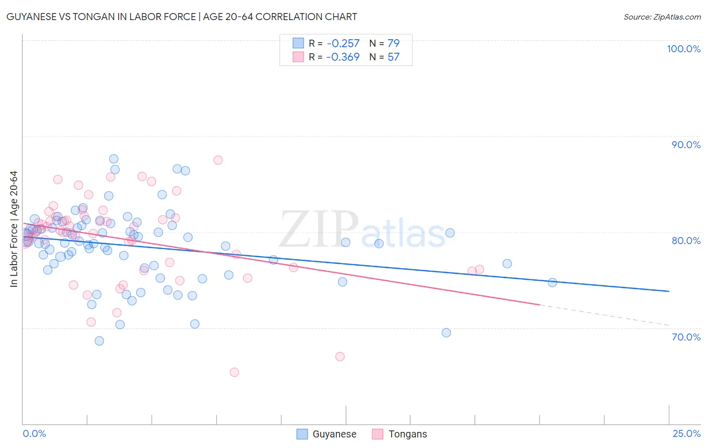 Guyanese vs Tongan In Labor Force | Age 20-64