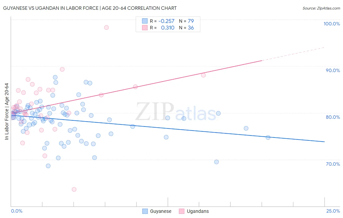 Guyanese vs Ugandan In Labor Force | Age 20-64