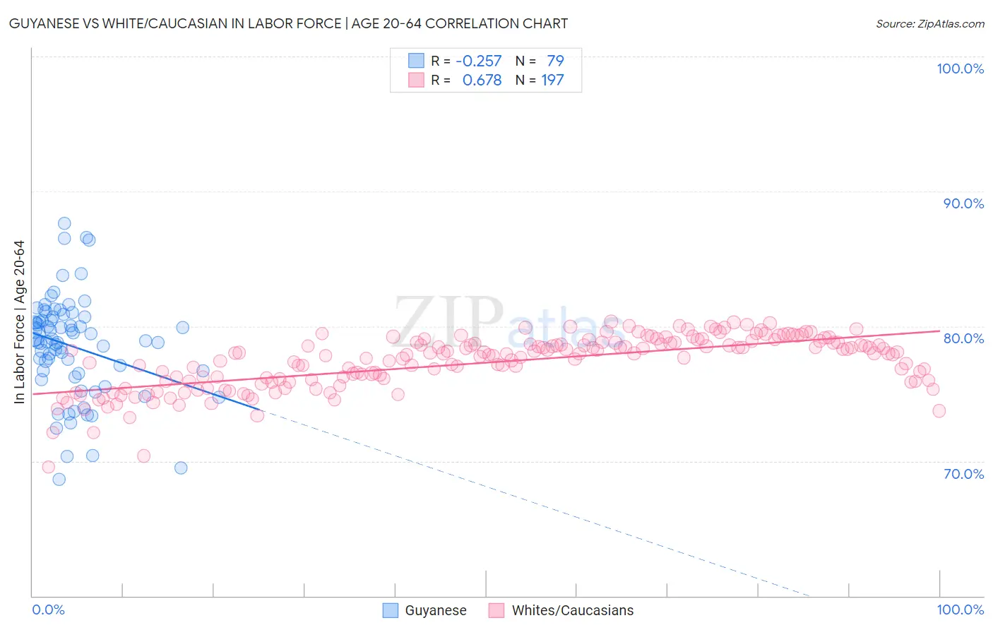 Guyanese vs White/Caucasian In Labor Force | Age 20-64
