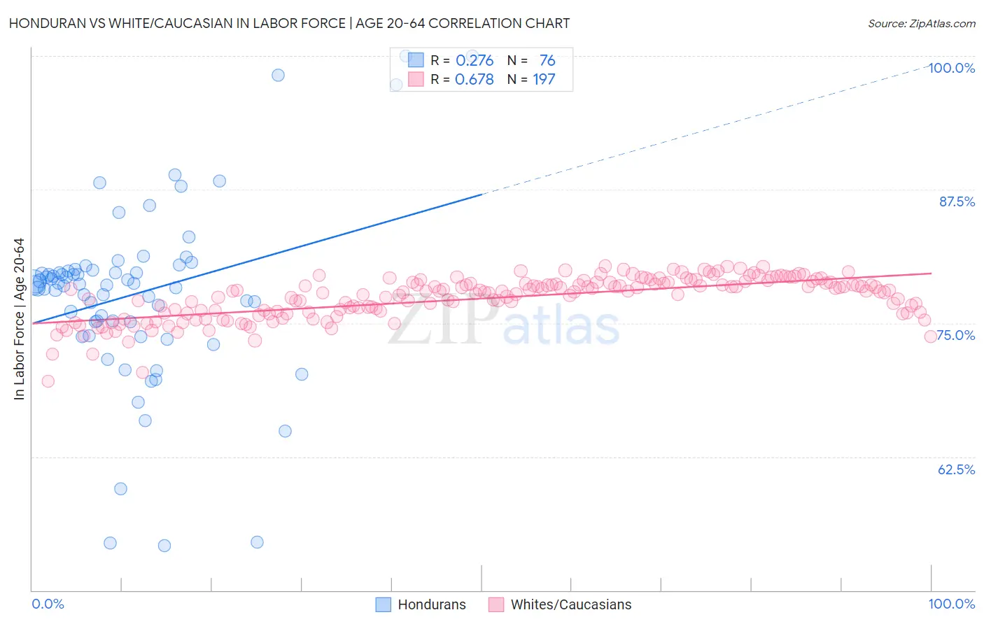 Honduran vs White/Caucasian In Labor Force | Age 20-64