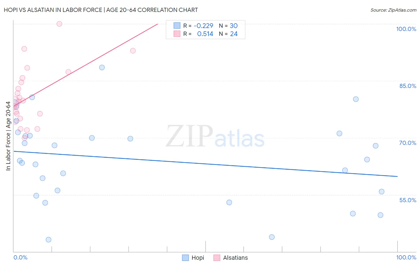 Hopi vs Alsatian In Labor Force | Age 20-64