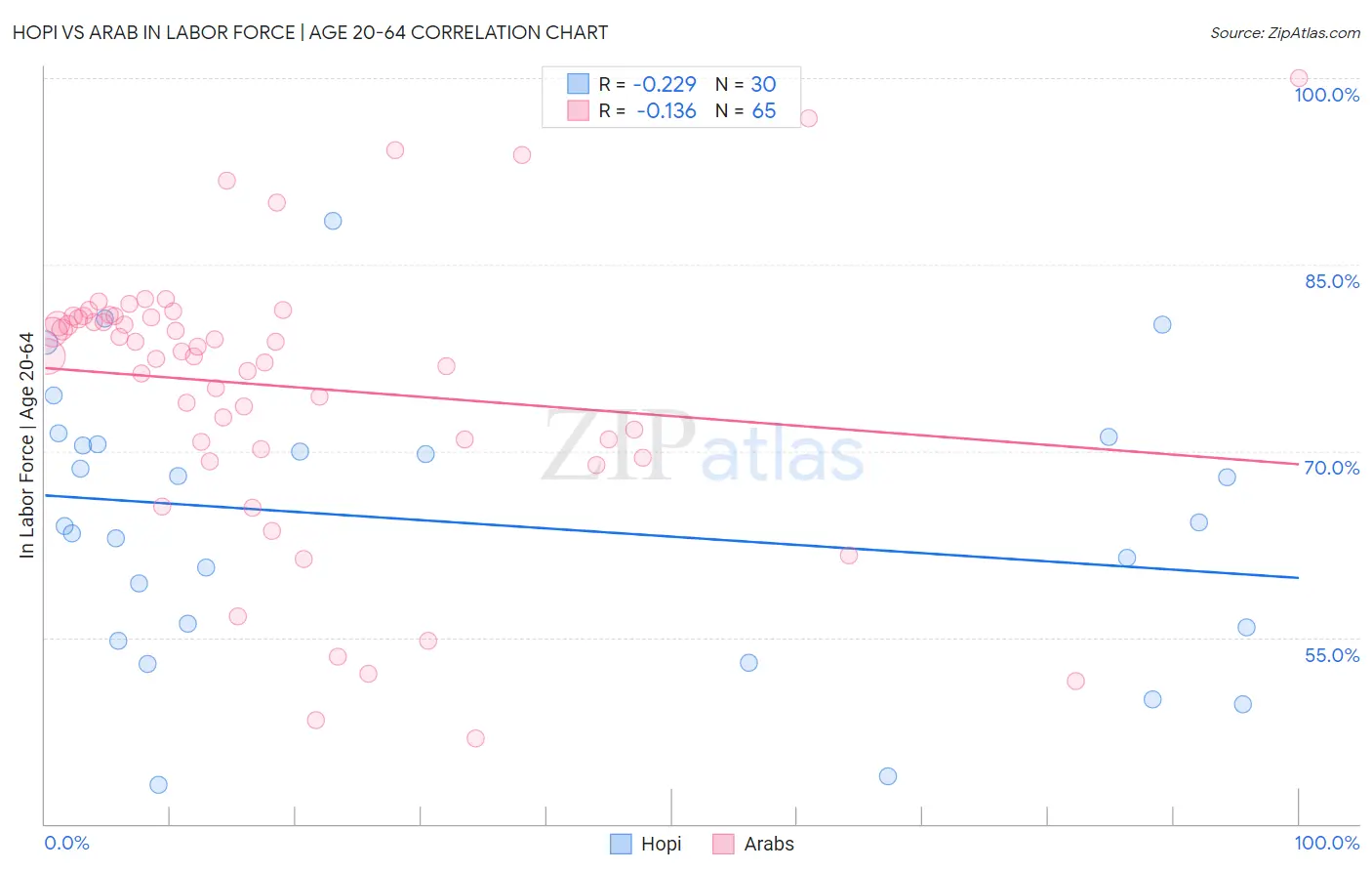 Hopi vs Arab In Labor Force | Age 20-64