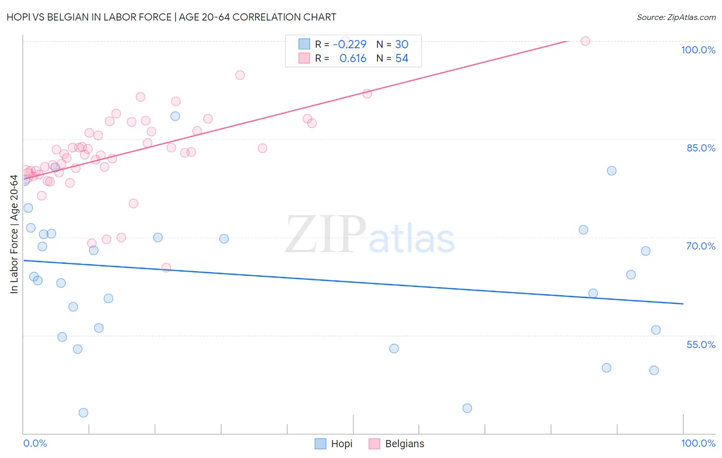 Hopi vs Belgian In Labor Force | Age 20-64