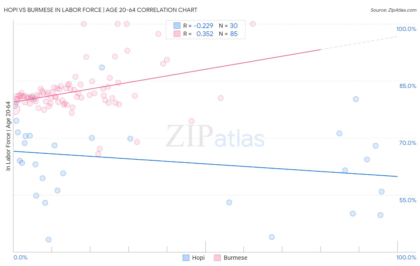 Hopi vs Burmese In Labor Force | Age 20-64