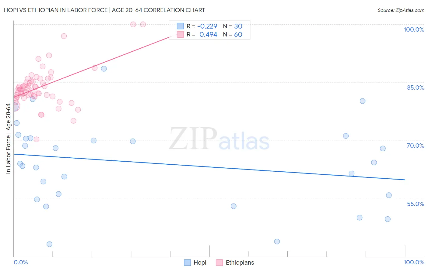 Hopi vs Ethiopian In Labor Force | Age 20-64