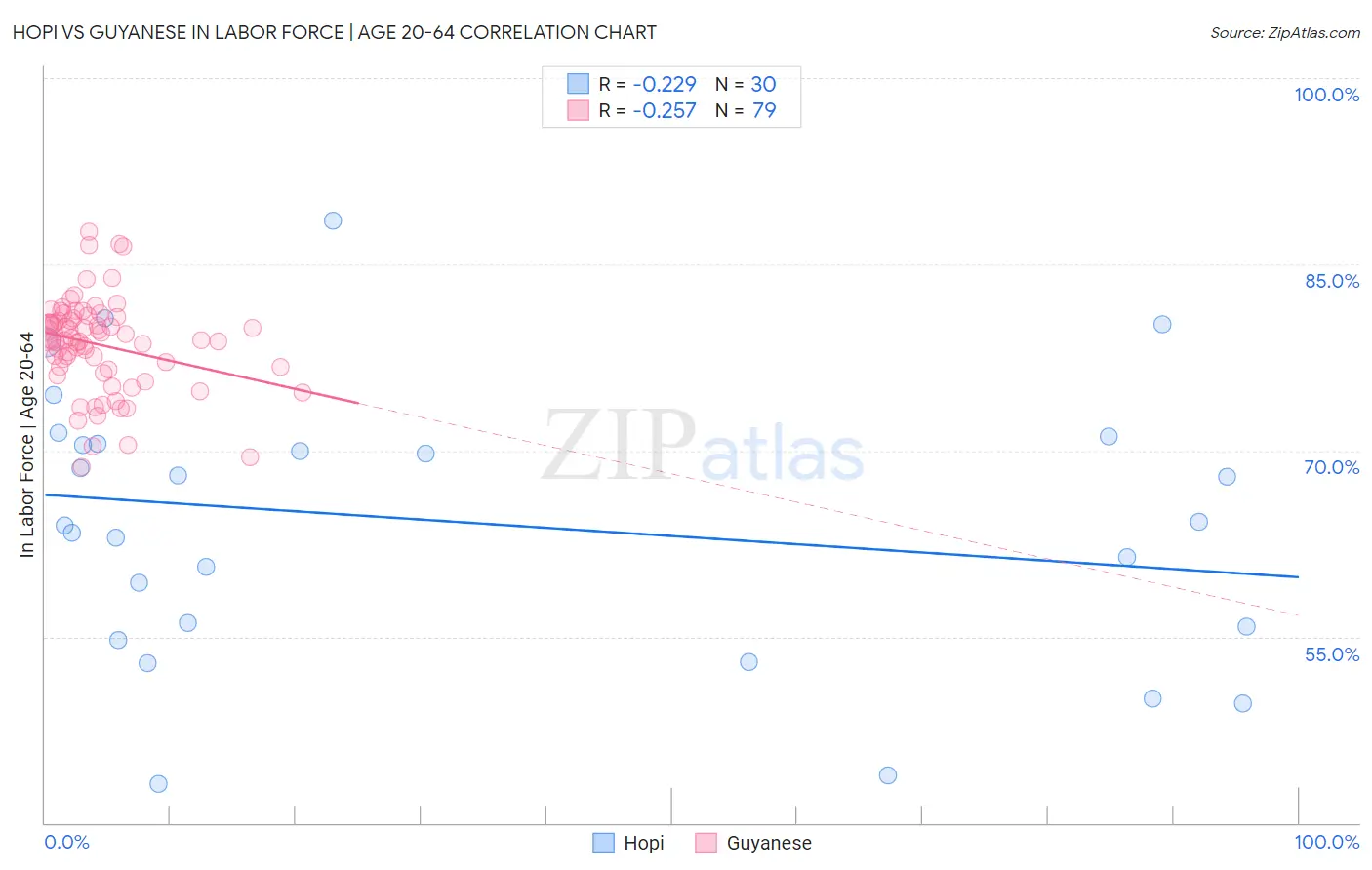 Hopi vs Guyanese In Labor Force | Age 20-64