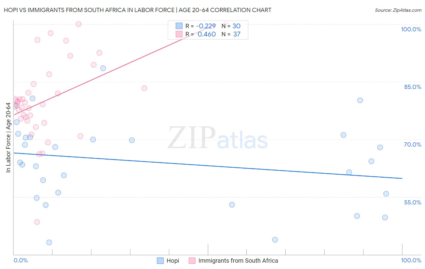 Hopi vs Immigrants from South Africa In Labor Force | Age 20-64