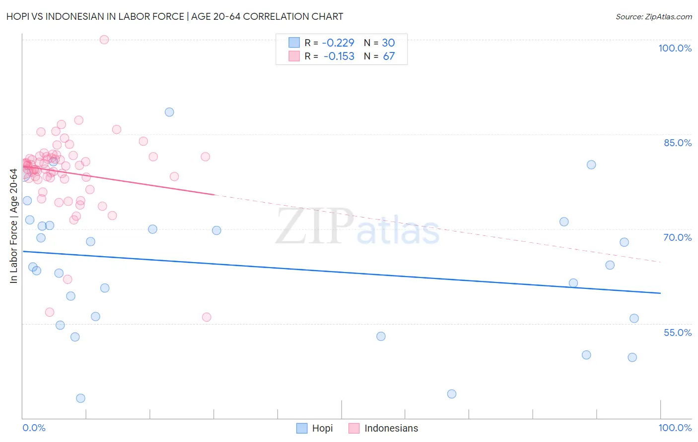 Hopi vs Indonesian In Labor Force | Age 20-64