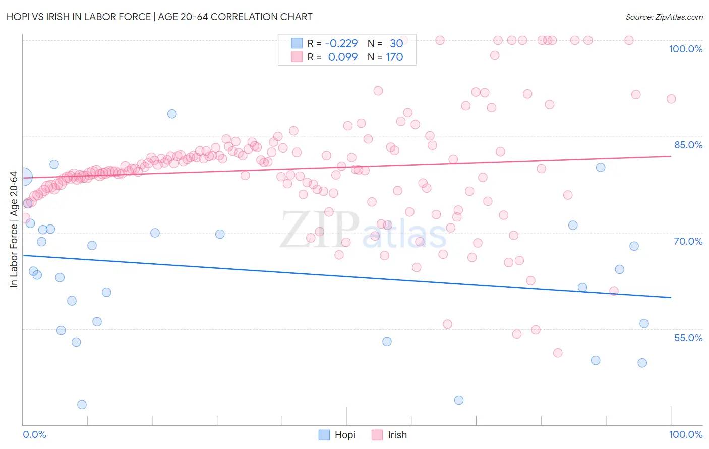 Hopi vs Irish In Labor Force | Age 20-64