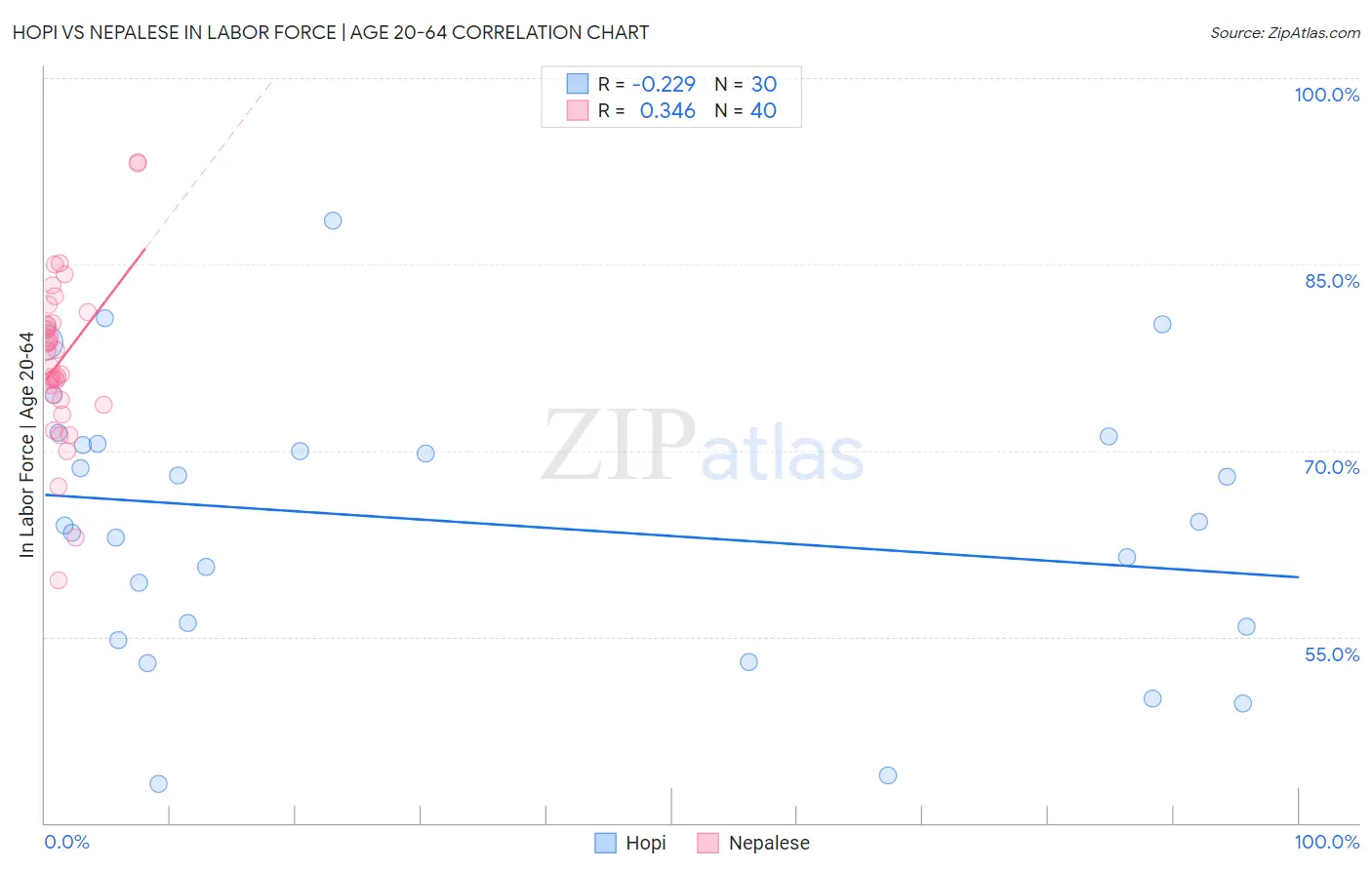 Hopi vs Nepalese In Labor Force | Age 20-64