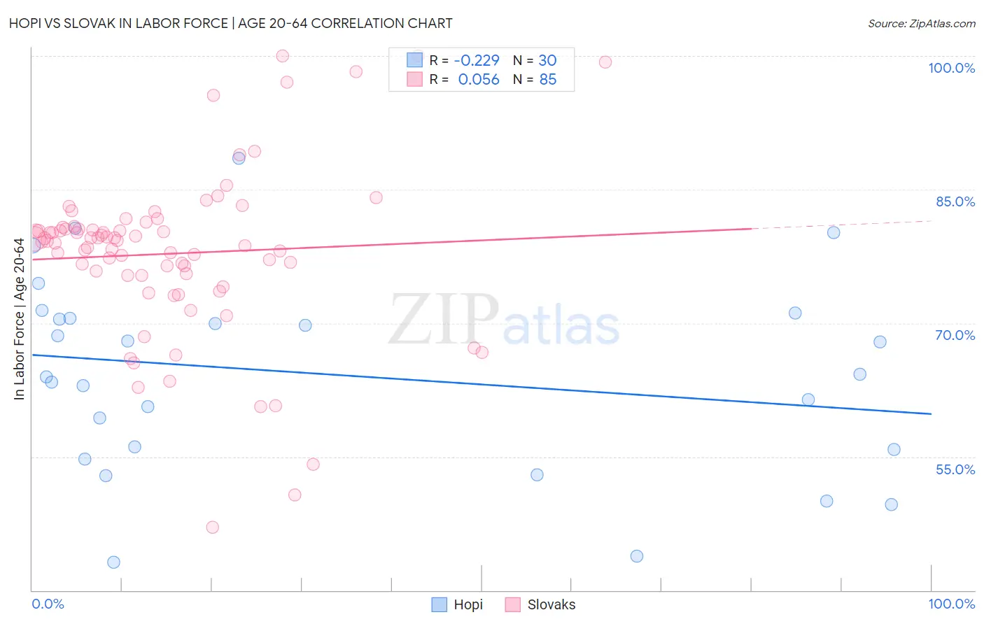 Hopi vs Slovak In Labor Force | Age 20-64