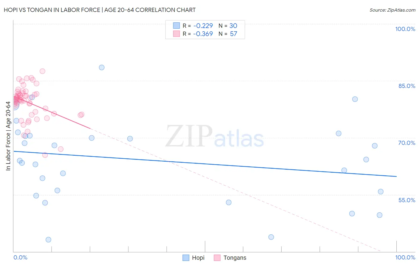 Hopi vs Tongan In Labor Force | Age 20-64