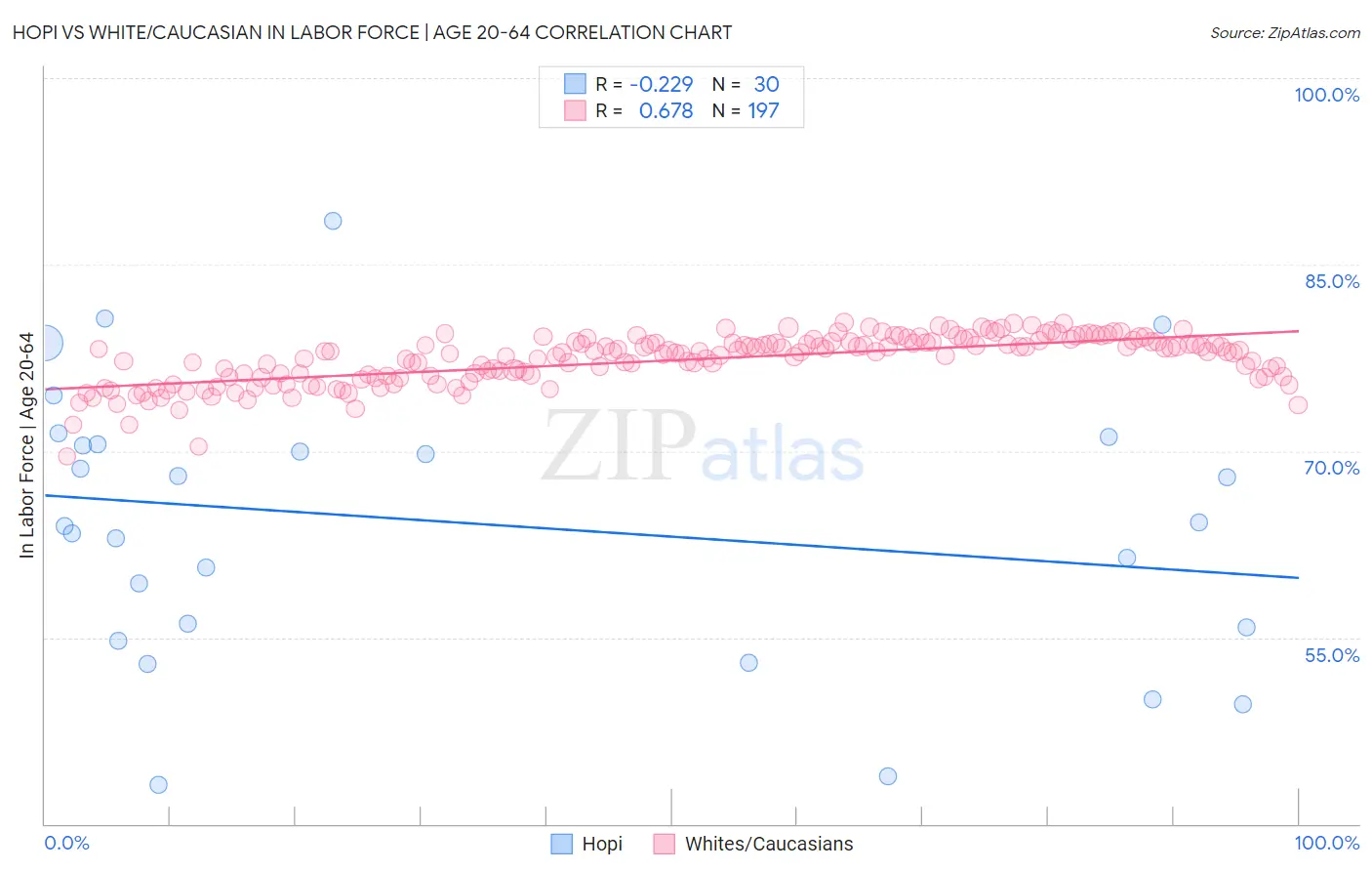 Hopi vs White/Caucasian In Labor Force | Age 20-64