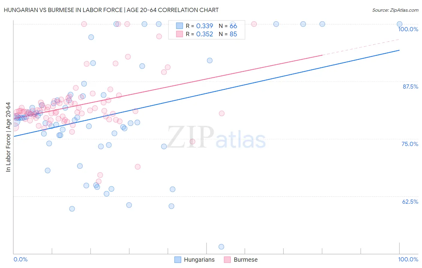 Hungarian vs Burmese In Labor Force | Age 20-64