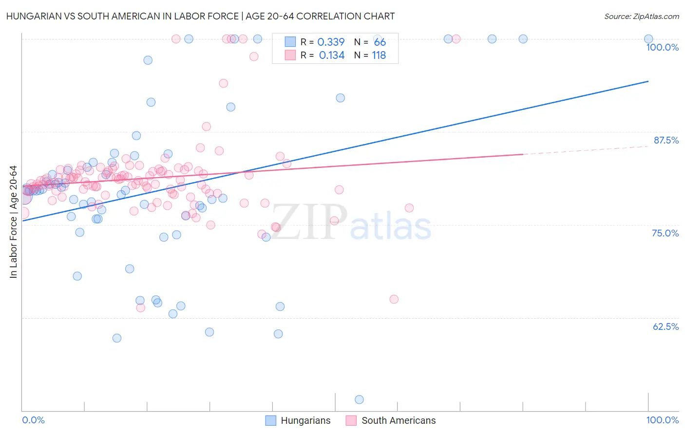 Hungarian vs South American In Labor Force | Age 20-64