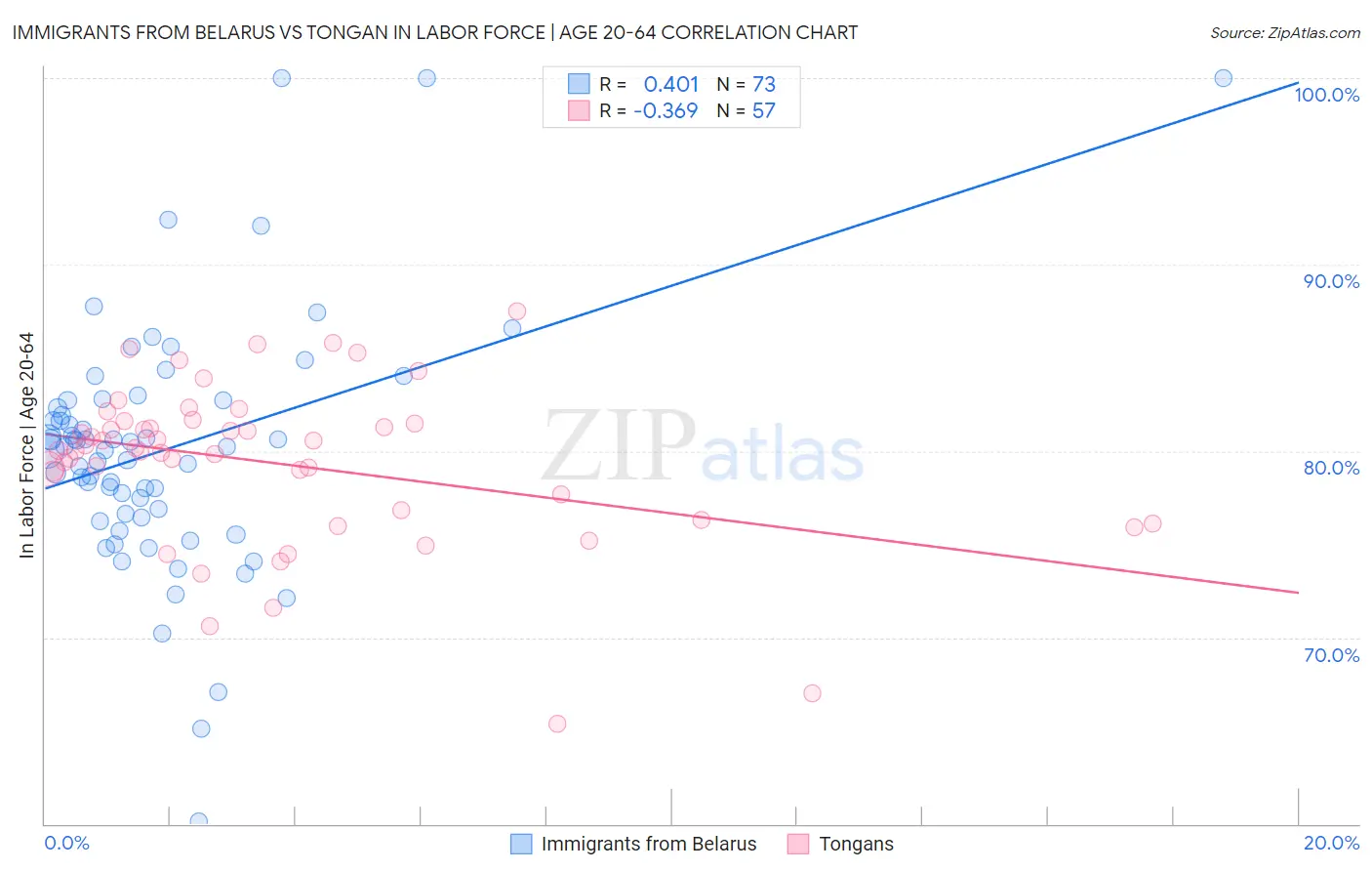 Immigrants from Belarus vs Tongan In Labor Force | Age 20-64