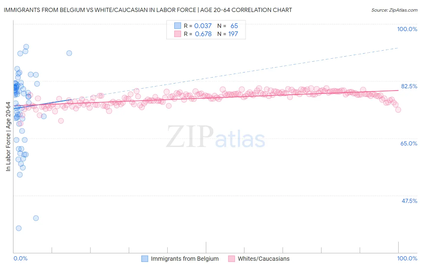 Immigrants from Belgium vs White/Caucasian In Labor Force | Age 20-64