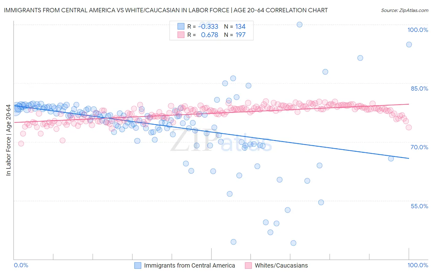 Immigrants from Central America vs White/Caucasian In Labor Force | Age 20-64