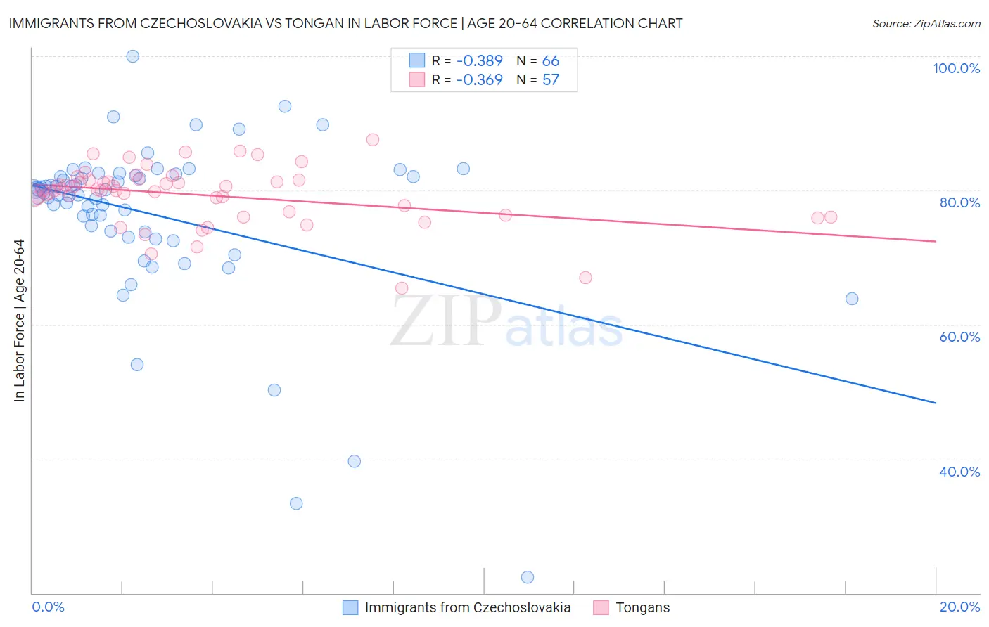 Immigrants from Czechoslovakia vs Tongan In Labor Force | Age 20-64