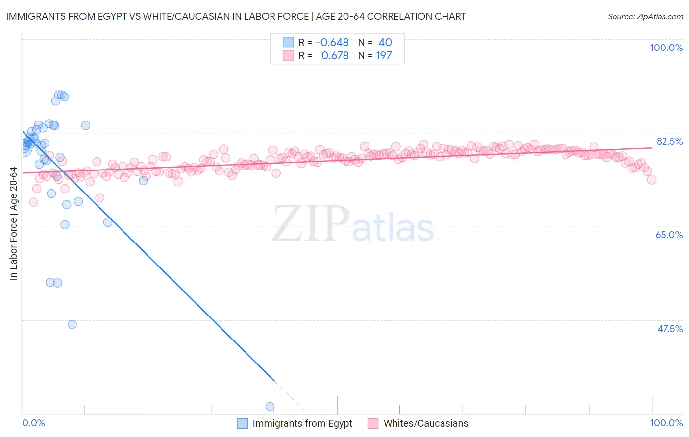 Immigrants from Egypt vs White/Caucasian In Labor Force | Age 20-64