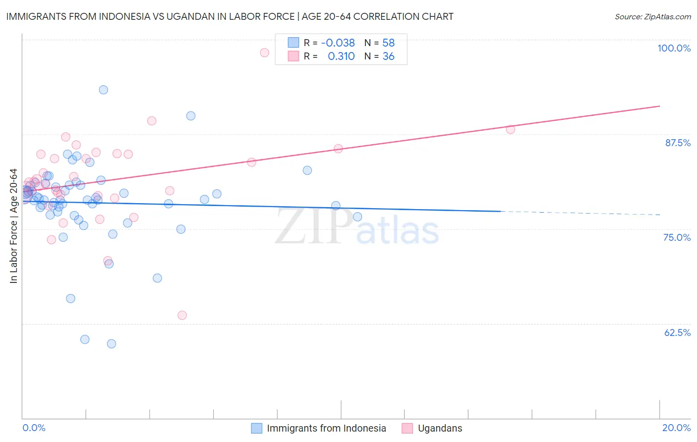 Immigrants from Indonesia vs Ugandan In Labor Force | Age 20-64