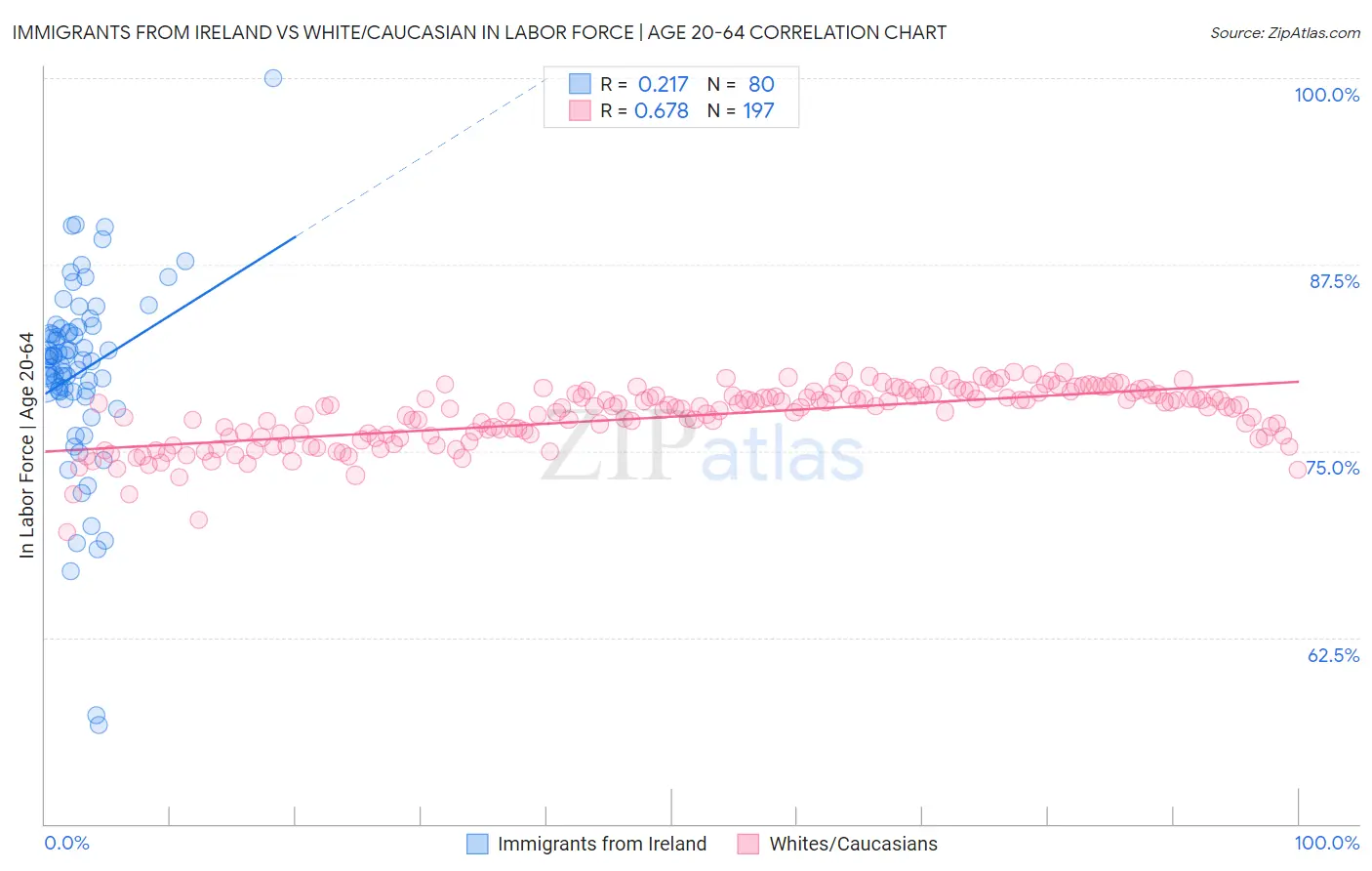 Immigrants from Ireland vs White/Caucasian In Labor Force | Age 20-64