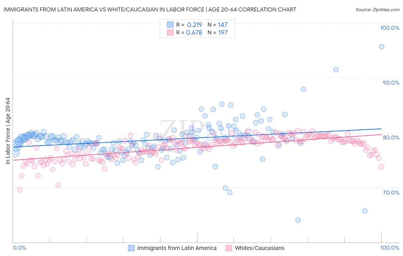 Immigrants from Latin America vs White/Caucasian In Labor Force | Age 20-64