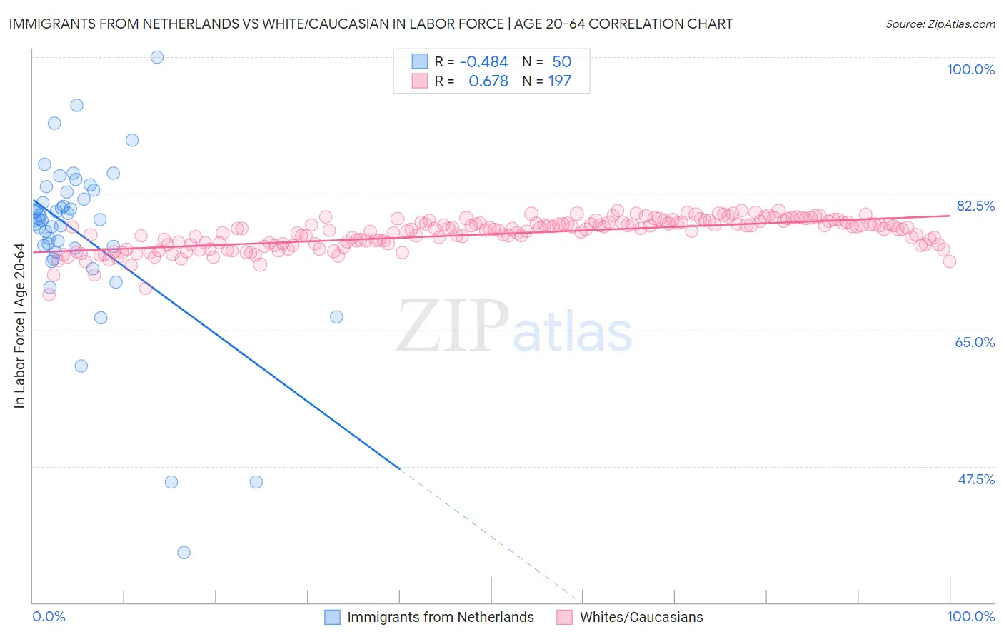 Immigrants from Netherlands vs White/Caucasian In Labor Force | Age 20-64