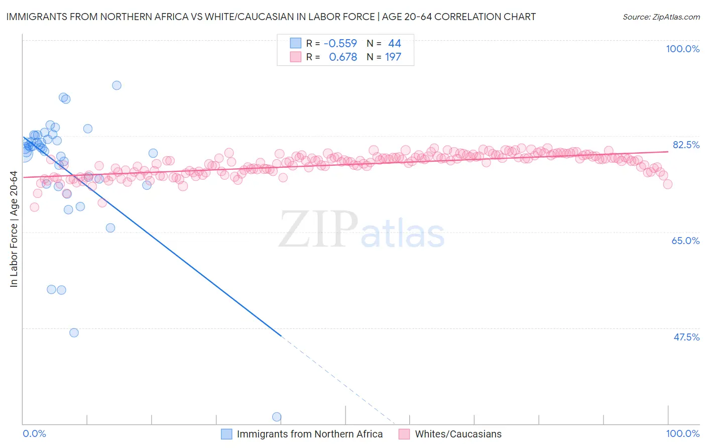 Immigrants from Northern Africa vs White/Caucasian In Labor Force | Age 20-64