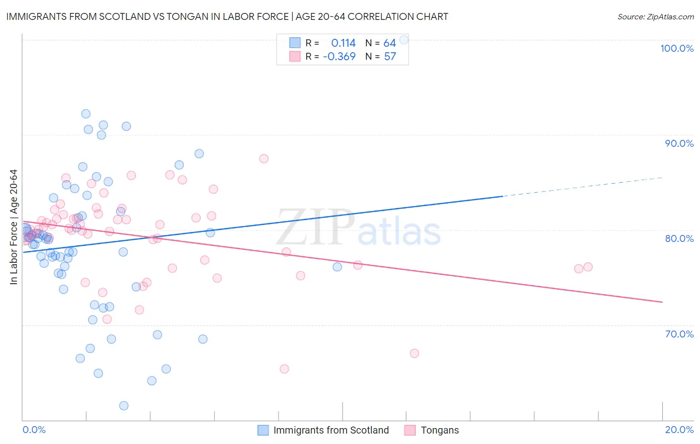 Immigrants from Scotland vs Tongan In Labor Force | Age 20-64