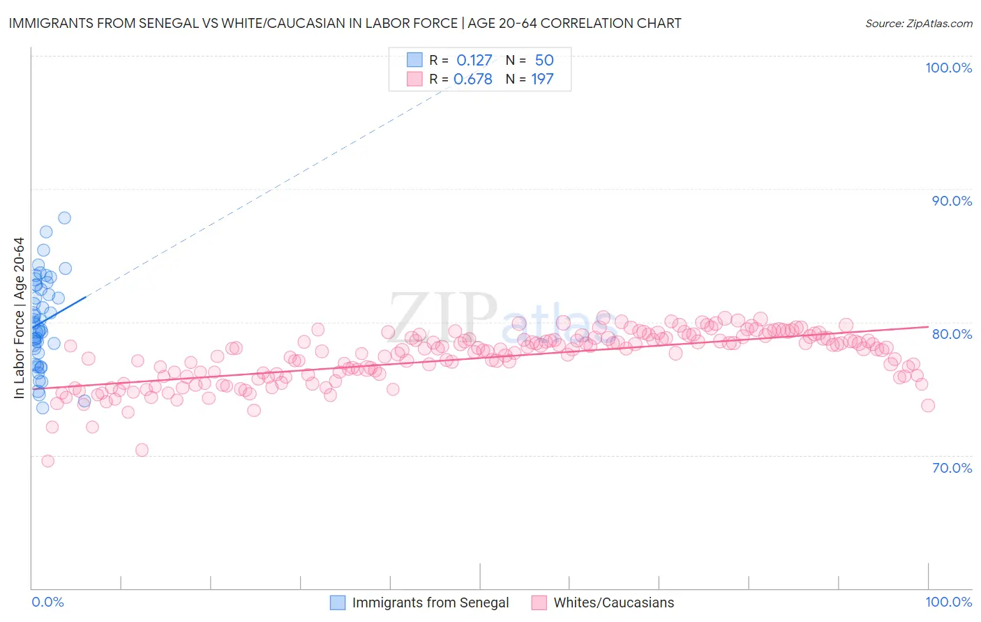 Immigrants from Senegal vs White/Caucasian In Labor Force | Age 20-64