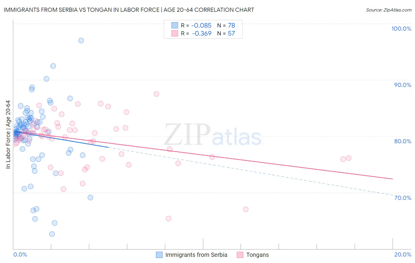 Immigrants from Serbia vs Tongan In Labor Force | Age 20-64