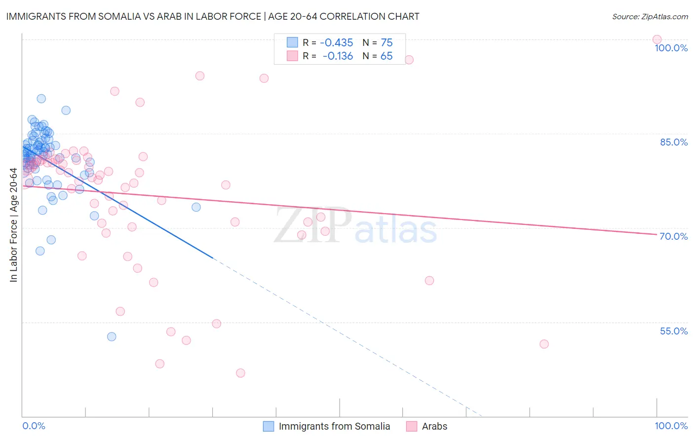Immigrants from Somalia vs Arab In Labor Force | Age 20-64