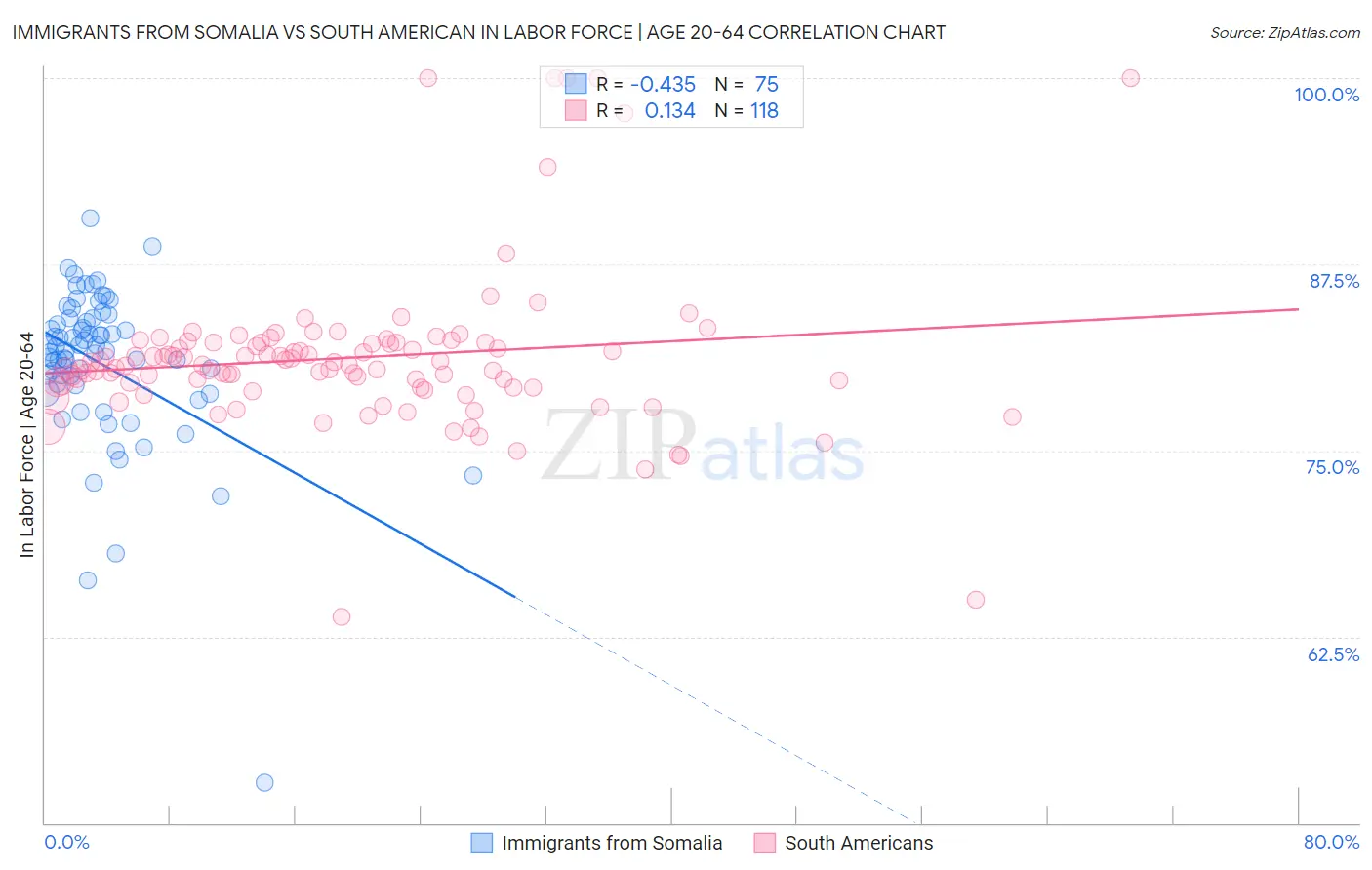 Immigrants from Somalia vs South American In Labor Force | Age 20-64