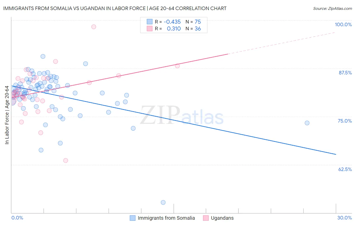 Immigrants from Somalia vs Ugandan In Labor Force | Age 20-64