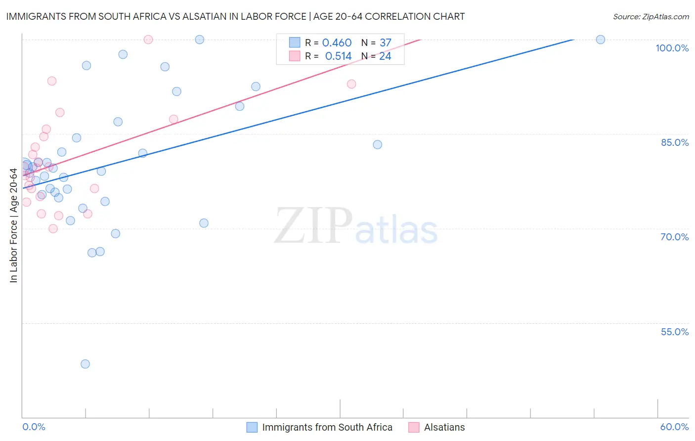 Immigrants from South Africa vs Alsatian In Labor Force | Age 20-64