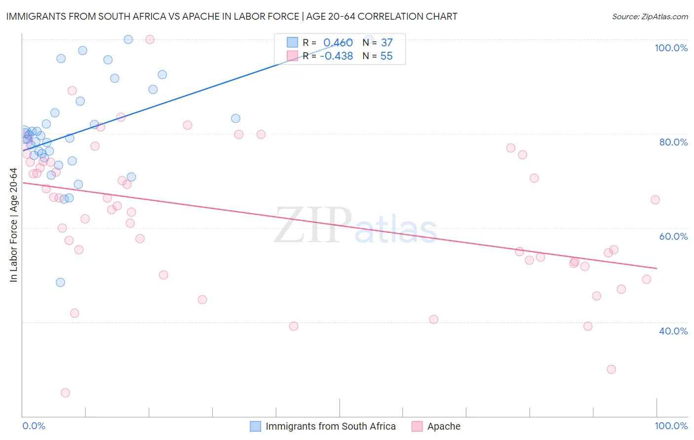 Immigrants from South Africa vs Apache In Labor Force | Age 20-64