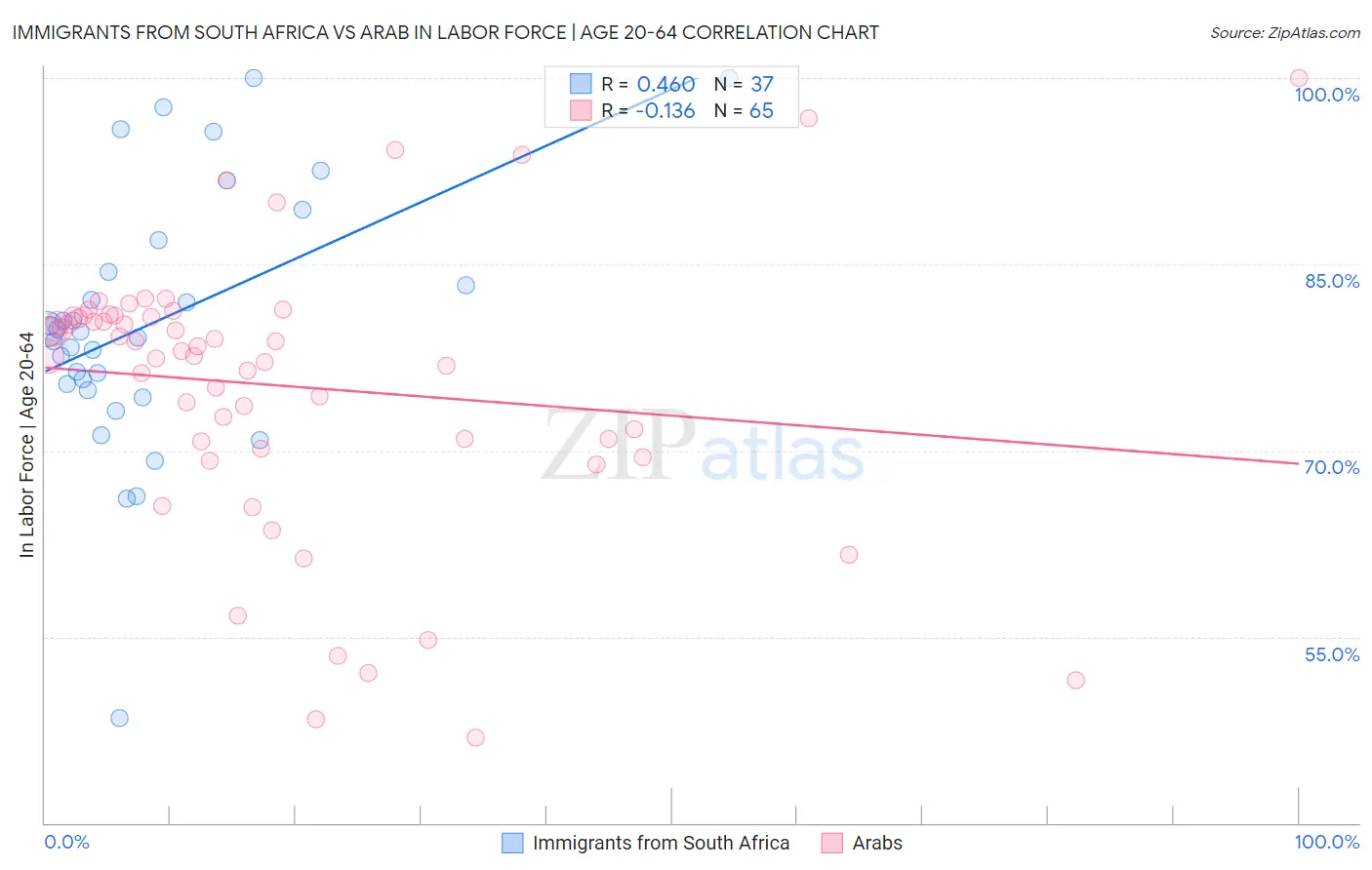 Immigrants from South Africa vs Arab In Labor Force | Age 20-64
