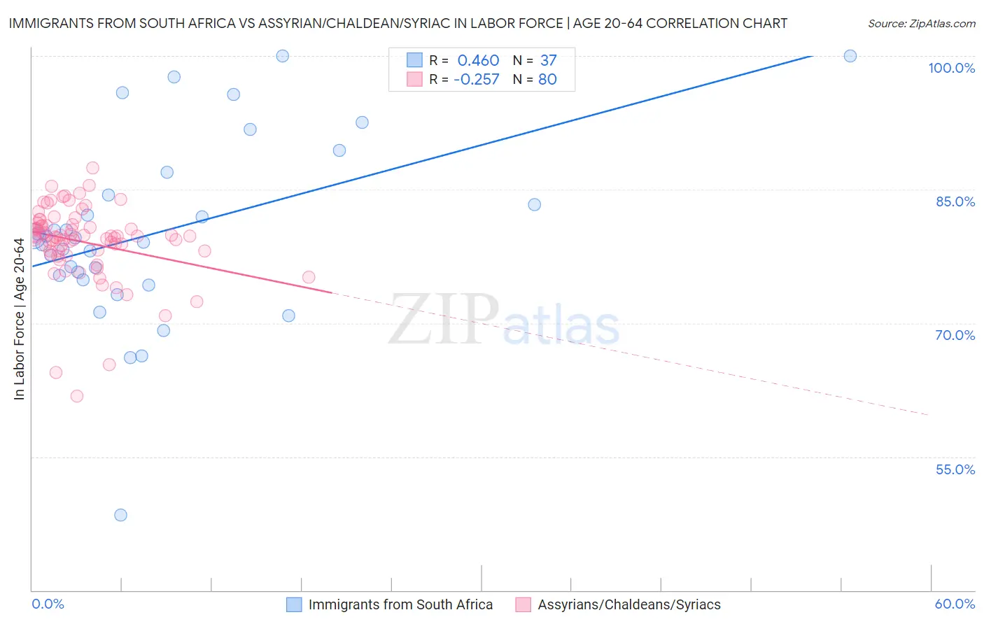 Immigrants from South Africa vs Assyrian/Chaldean/Syriac In Labor Force | Age 20-64