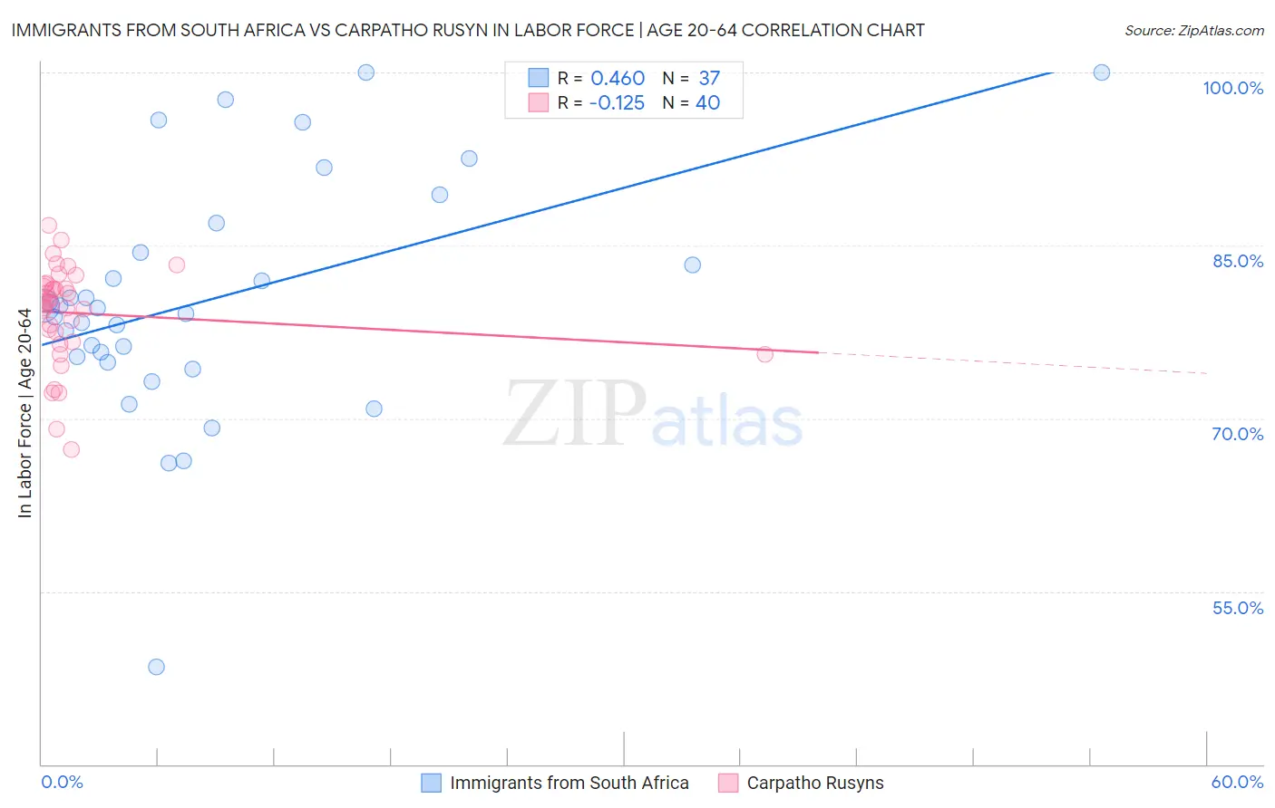 Immigrants from South Africa vs Carpatho Rusyn In Labor Force | Age 20-64